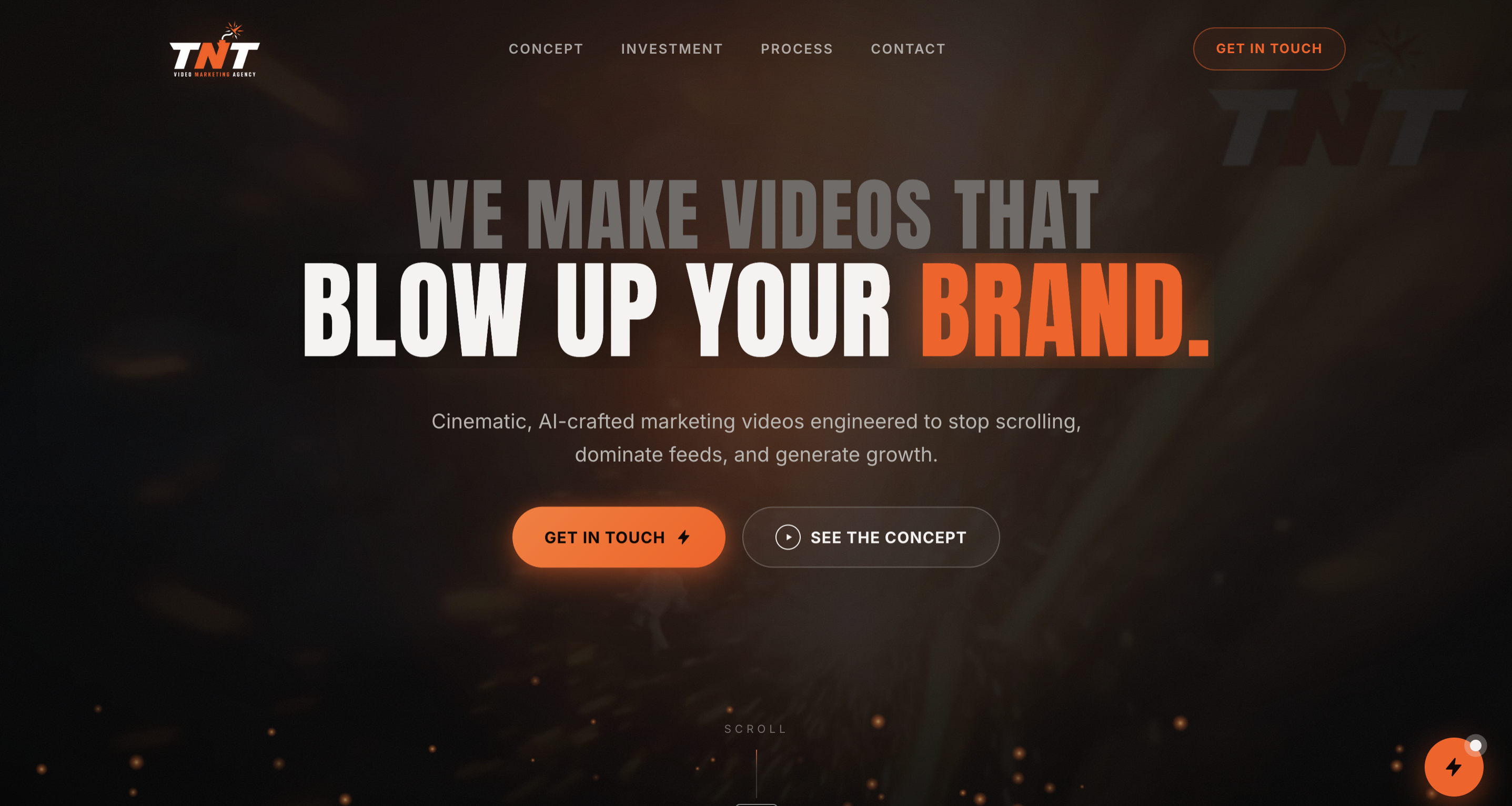 Screenshot of the TNTMedia website